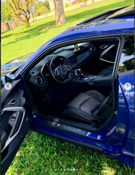 Camaro foto 5